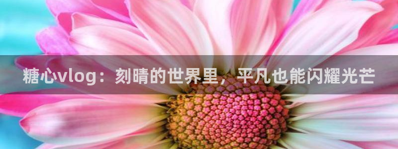 不见星空糖心vlog：糖心vlog：刻晴