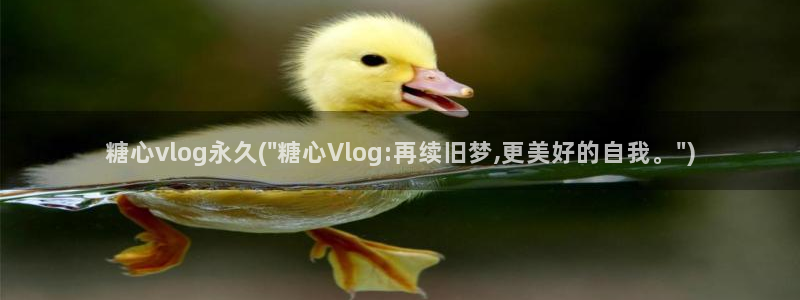 糖心vlog小二：糖心vlog永久(\