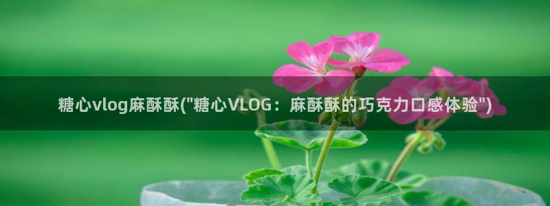 糖心vlog 茄子视频