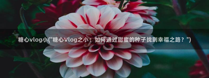 糖心VLOG修女