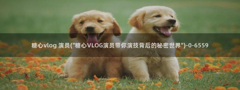 糖心vlog 百度云：糖心vlog 演员