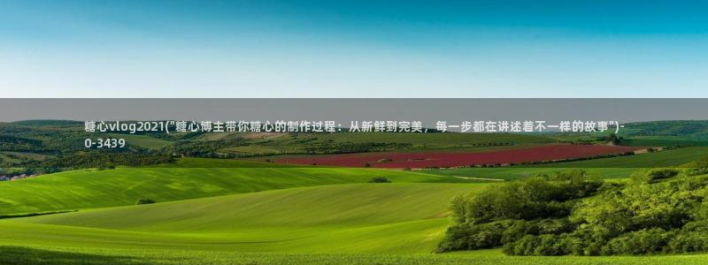 18糖心vlog传媒：糖心vlog202