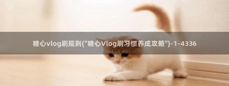 糖心vlog董小姐