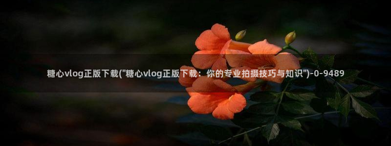 糖心网站vlog：糖心vlog正版下载(