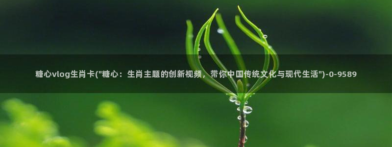 糖心vlog深夜解放