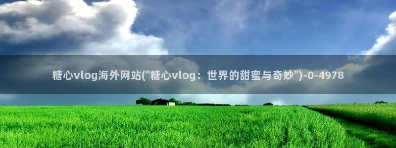 污糖心vlog