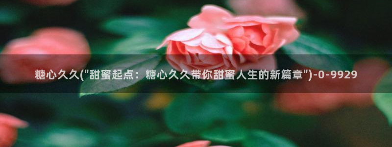 心糖vlog记录