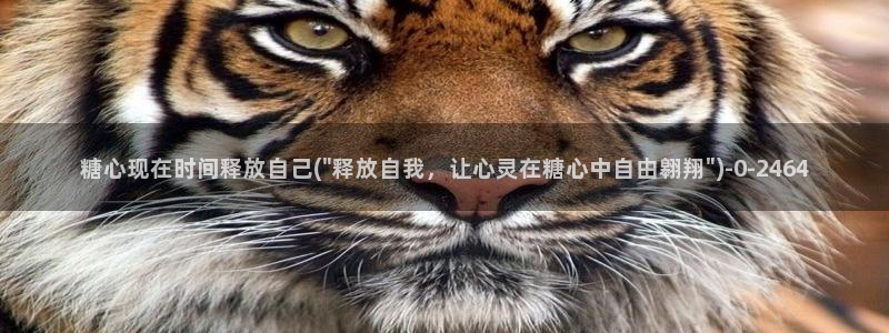 糖心出品vlog传媒：糖心现在时间释放自己(\