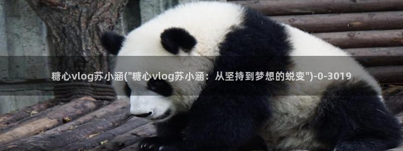 糖心vlog在：糖心vlog苏小涵(\