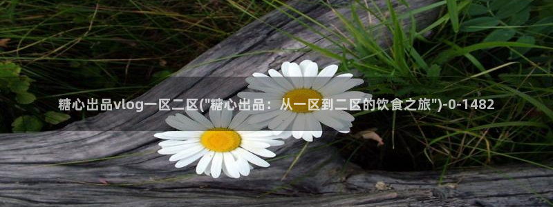 糖心vlog破解版下载