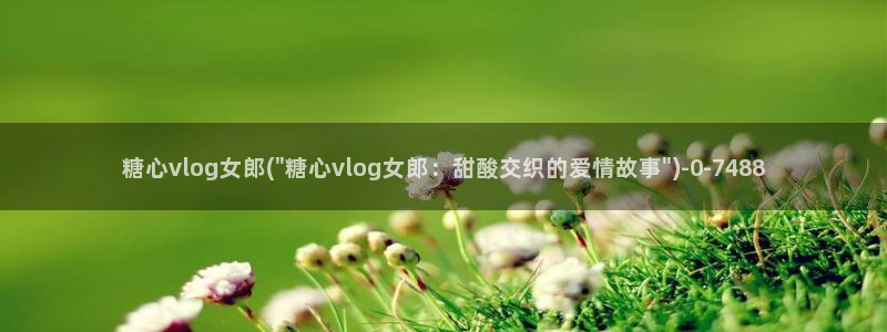 糖心vlog的网址