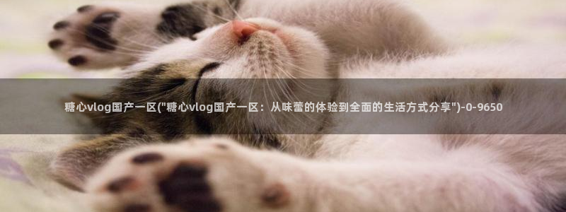 糖心vlog在线观看