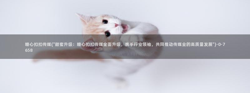 app糖心vlog：糖心扣扣传媒(\