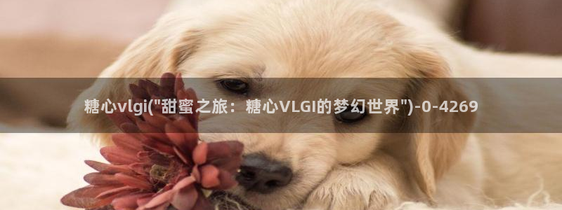 糖心vlog一区