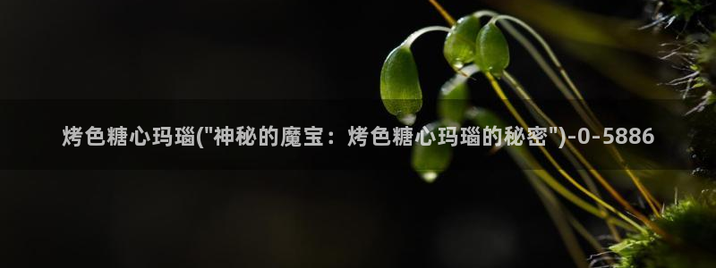 vlog糖心