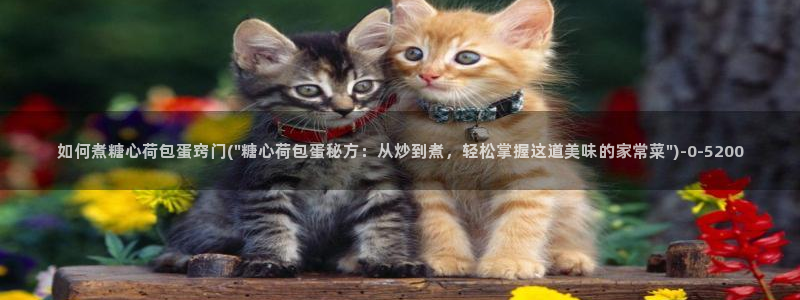 糖心vlog污ios